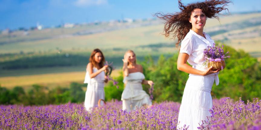 lavender